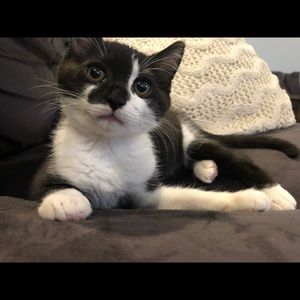 Meet your Posher, Adrianne